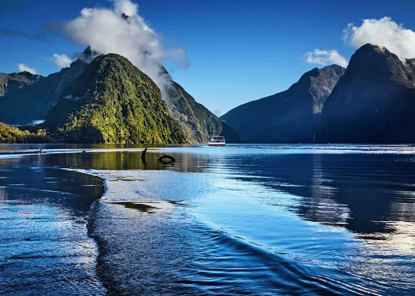 Adarsh Swarajya | न्यूझीलंडचे Milford Sound – जगातील सर्वात निसर्गरम्य फॉर्ड