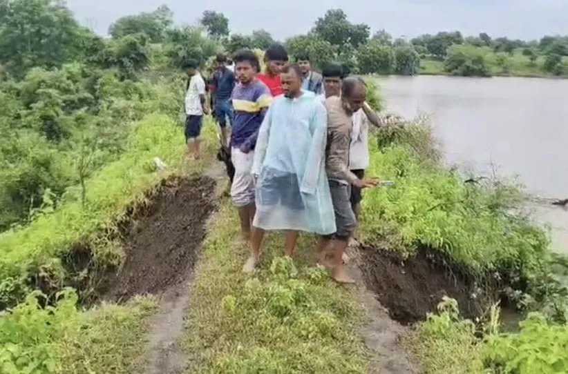 Adarsh Swarajya | सिंचन तलाव धोक्यात; भिंत खचली, २०० एकर शेतीला धोका….