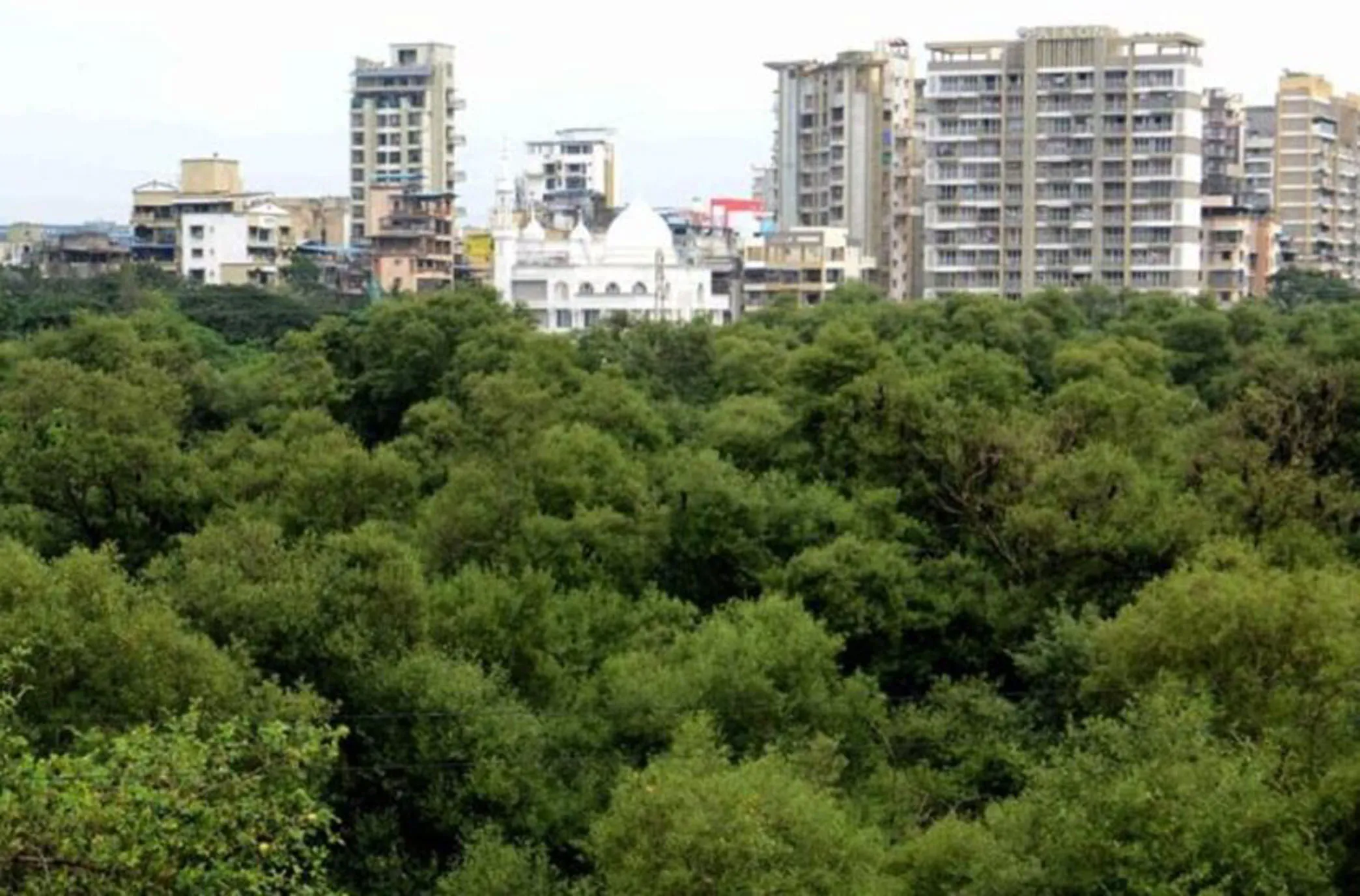 Adarsh Swarajya | वर्सोवा- भाईंदर किनारी रस्त्याला पर्यावरण मंत्रालयाची...