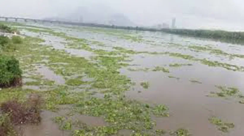 Adarsh Swarajya | महाराष्ट्र राज्य नदी पुनरुज्जीवन प्राधिकरण स्थापन